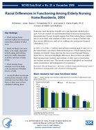 Racial Differences in Functioning Among Elderly Nursing Home Residents 2004