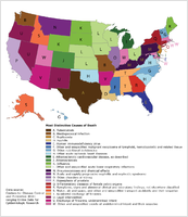 The Most distinctive causes of death by state 20012010