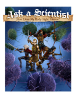 Ask a Scientist How Does My Body Fight Disease