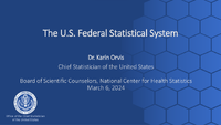 The US Federal Statistical System