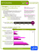 CDC National Survey Maternity Practices in Infant Nutrition and Care mPINC Wyoming 2015 Report