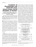 Isolation of Escherichia coli O157H7 from Intact Colon Fecal Samples of Swine1