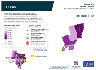 TX Congressional District 36 Stroke and Stroke Centers Map 118th Congress