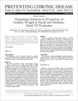 Promising Practices in Promotion of Healthy Weight at Small and MediumSized US Worksites