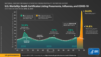 US Mortality Death Certificates Listing Pneumonia Influenza COVID19 Data Through Week Ending Apri 24 2020
