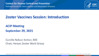 Zoster vaccines session  introduction