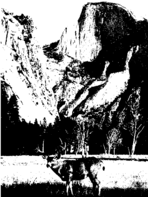 Public Health Rep v 74 no 5  masthead