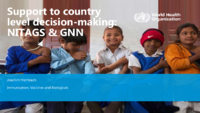 Support to country level decisionmaking  NITAGS  GNN
