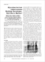 Mycobacterium tuberculosis Beijing Genotype Northern Malawi