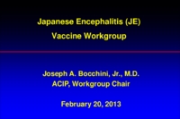 Japanese Encephalitis JE Vaccine Workgroup