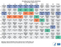 10 Leading Causes of Death United States  2019 Both sexes All ages All races