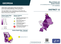 GA Congressional District 12 Stroke and Stroke Centers Map 119th Congress