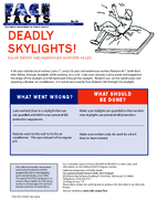 FACE Facts Deadly Skylights Solar Energy and Warehouse Workers Killed