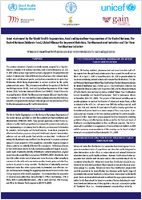 Wheat and maize flour fortification  practical recommendations for national application