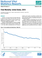 Fetal Mortality United States 2019
