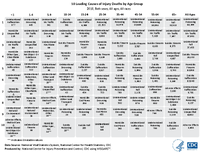 10 Leading Causes of Injury Deaths by Age Group  2018 Both sexes All ages All races
