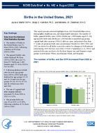 Births in the United States 2021