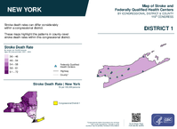 NY Congressional District 01 Stroke and Federally Qualified Health Centers Map 119th Congress