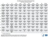10 Leading Causes of Injury Deaths by Age Group  2019 Both sexes All ages All races