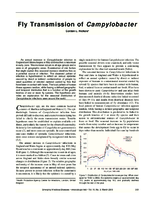 Fly Transmission of Campylobacter