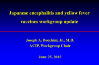 Japanese encephalitis and yellow fever vaccines workgroup update