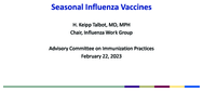 Seasonal influenza vaccines