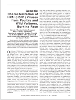 Genetic Characterization of HPAI H5N1 Viruses from Poultry and Wild Vultures Burkina Faso