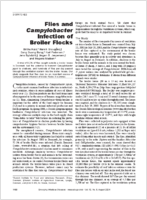 Flies and Campylobacter Infection of Broiler Flocks