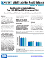 Fetal Mortality in the United States Final 20222023 and 2023Provisional 2024