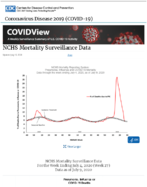 NCHS mortality surveillance data updated July 10 2020