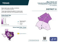 TX Congressional District 31 Stroke and Federally Qualified Health Centers Map 119th Congress
