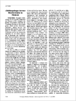 Chitinophaga terrae Bacteremia in Human