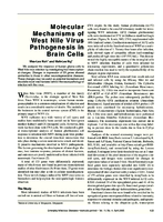 Molecular Mechanisms of West Nile Virus Pathogenesis in Brain Cells