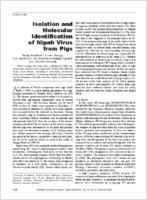 Isolation and Molecular Identification of Nipah Virus from Pigs