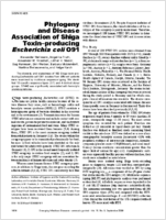 Phylogeny and Disease Association of Shiga Toxinproducing Escherichia coli O91