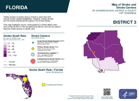 FL Congressional District 03 Stroke and Stroke Centers Map 119th Congress