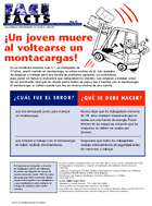 Construction Injury Narrative Roofer Falls 10 Feet from Fixed Ladder 2008