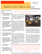 Workers Killed While Working with Forklifts
