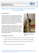 Maintenance Technician is Struck by Crane Falls 10 feet to Conveyor and Dies