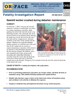 Sawmill worker crushed during debarker maintenance