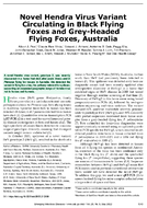 Novel Hendra Virus Variant Circulating in Black Flying Foxes and GreyHeaded Flying Foxes Australia