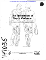 The Prevention of youth violence  a framework for community action