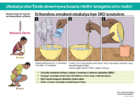 Ububalya obwEbola obwerinywa busana nerihiramagetse omo mubiri 3 Pints 2018