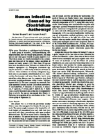 Human Infection Caused by Clostridium hathewayi