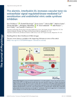 The Alarmin Interleukin33 Increases Vascular Tone via Extracellular Signal Regulated KinaseMediated Ca2 Sensitization and Endothelial Nitric Oxide Synthase Inhibition