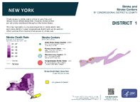 NY Congressional District 01 Stroke and Stroke Centers Map 118th Congress