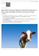 What CDC Is Doing to Respond to Bird Flu Outbreaks in Dairy Cows and Other Animals in the United States