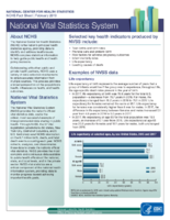 National Vital Statistics System February 2019