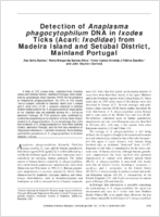 Detection of Anaplasma phagocytophilum DNA in Ixodes Ticks Acari Ixodidae from Madeira Island and Setbal District Mainland Portugal