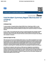 Fatal Incident Summary Report Electrocution of a Painter FACE 8309